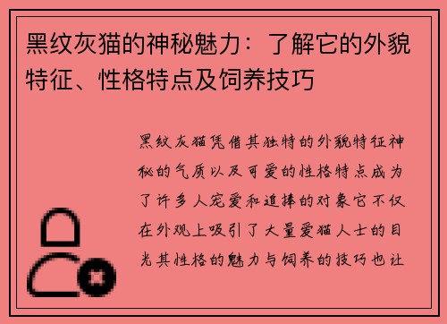 黑纹灰猫的神秘魅力:了解它的外貌特征、性格特点及饲养技巧 黑纹灰猫的神秘魅力:了解它的外貌特征、性格特点及饲养技巧